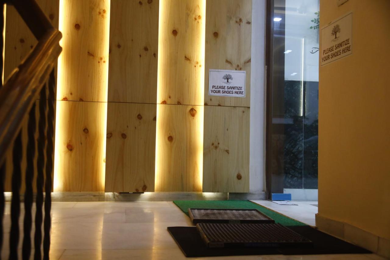 Peepal Tree Residency Near Max Hospital Saket Acomodação com café da manhã Nova Deli Exterior foto
