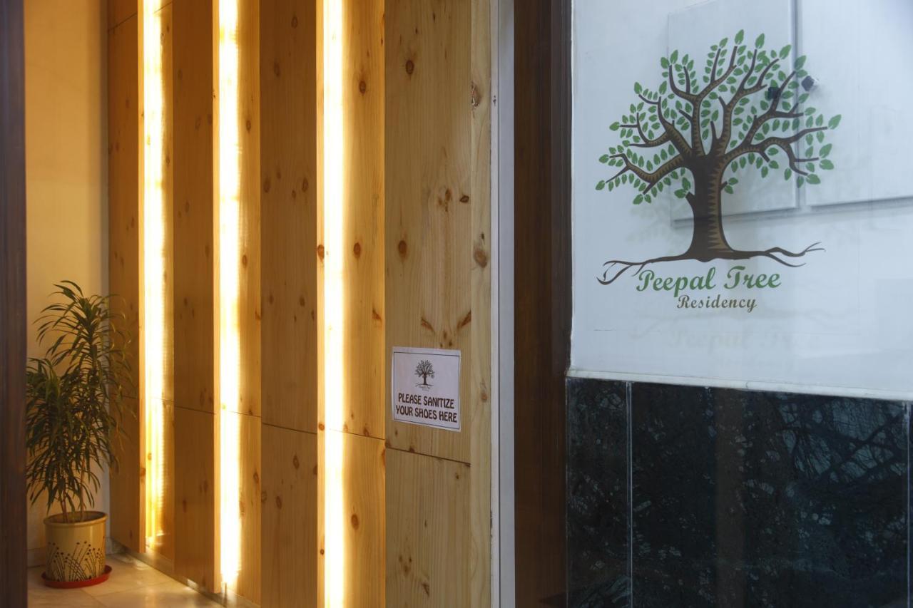 Peepal Tree Residency Near Max Hospital Saket Acomodação com café da manhã Nova Deli Exterior foto